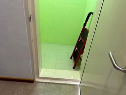 Thomson V Two (D20), Apartment #531895201
